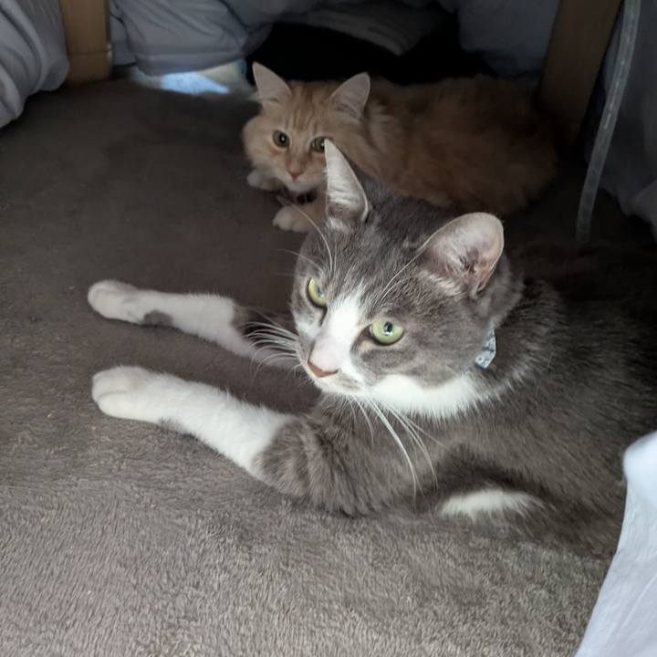 57be8685 8ba9 49f2 95ad cc15ff3d5697 1764213823385