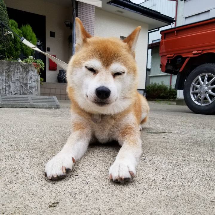 57be8992 2bc5 496d 8051 95ce70a7ced6 1562980373255