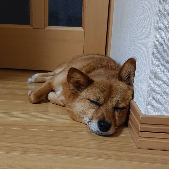 57bef364 992b 4c31 8af7 7f2da5852ece 1556797214969