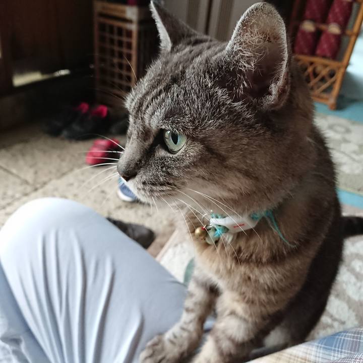 57bf3a2c df7f 4cc2 818d a06fff63d757 1568583058754