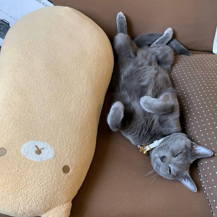 57bf550c 00a2 4932 8224 17e5cfc518a9 1654178431134