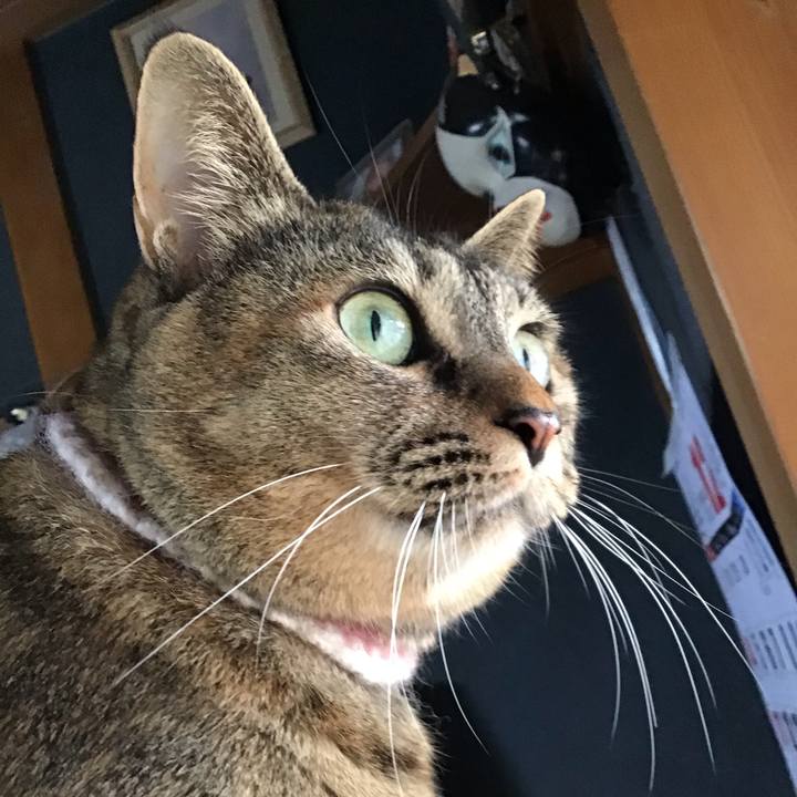 57bf674b d670 4438 b895 661cf04462cc 1670057495975