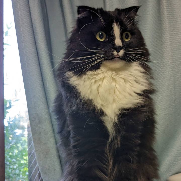 57bf708b 5679 4a89 82a1 435b18a962a5 1715892299055