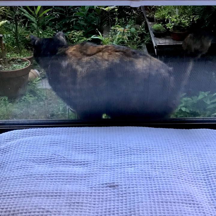 57bf70fd b338 4bee 9037 b578dcf89f7a 1530094131735