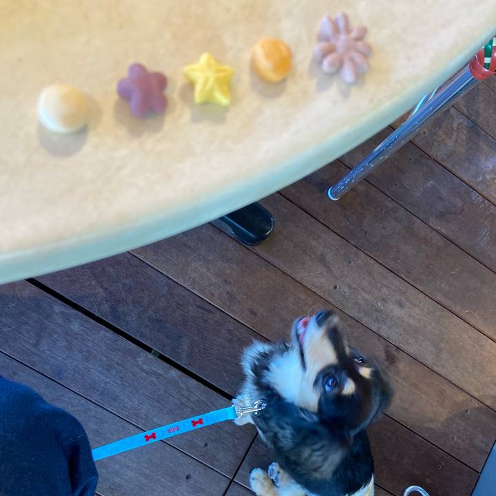 57bf71f6 335b 464d 8e22 e4b24bca87d0 1689550269480