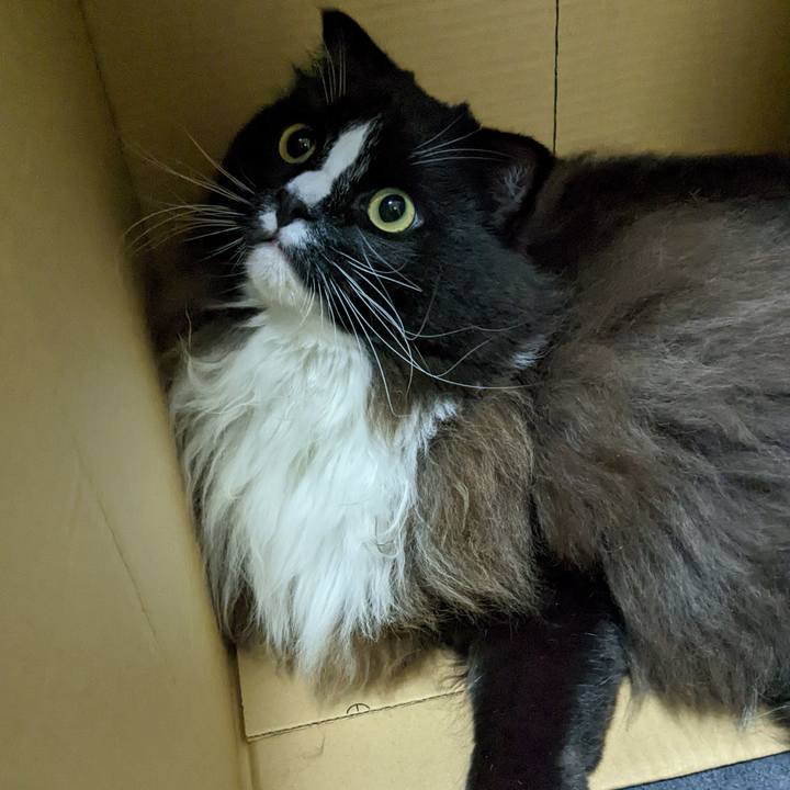 57bfd7b2 4aa3 42f1 b99a 4a37b12a4324 1667650442251