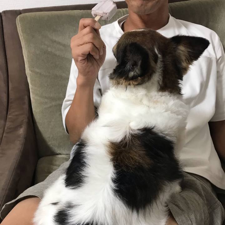 57bfeb7c 606e 4a38 86cb 714e90b55641 1599483583499