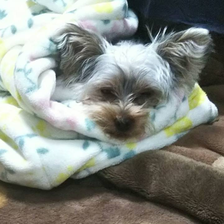 57c03382 1ee4 4b1d 81ad 8b6eb6e2c98c 1548997219448