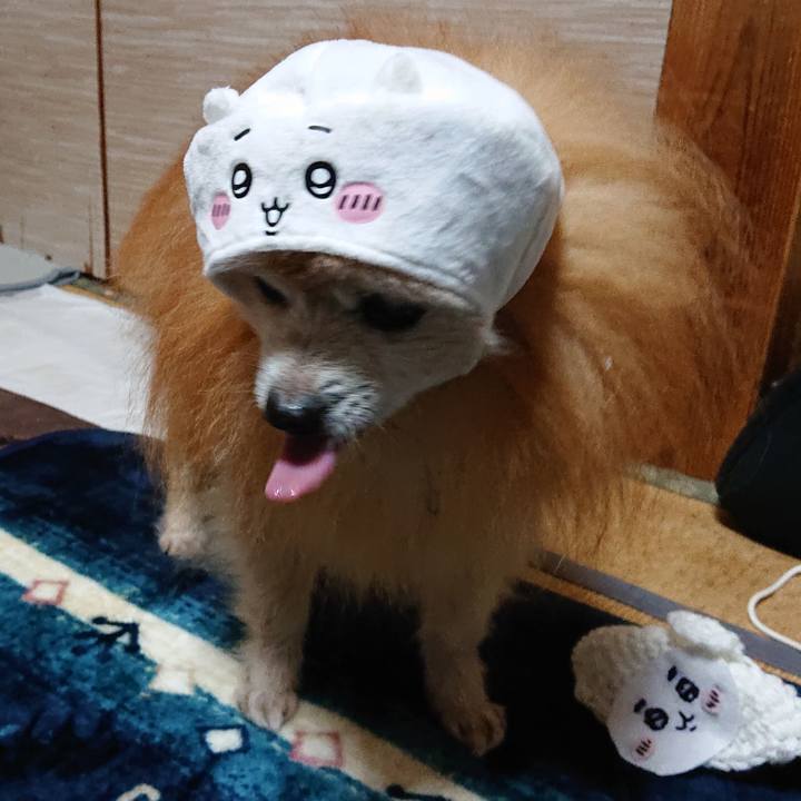 57c03530 7314 4499 80f2 1a4bcfb03a48 1699094120760