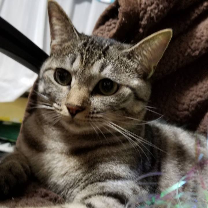 57c08a03 7bae 4975 bd40 ba90ec308b9c 1692836098496