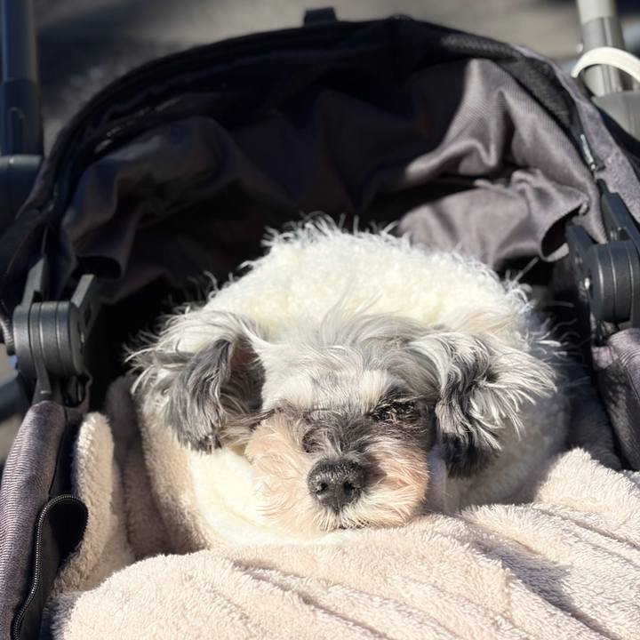 57c0b5ae c4c1 481c 863d 0c6268ad6169 1767417992987