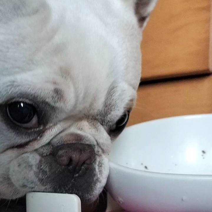 57c0d605 c56a 4233 869a 66e1f12b21c5 1677280296712