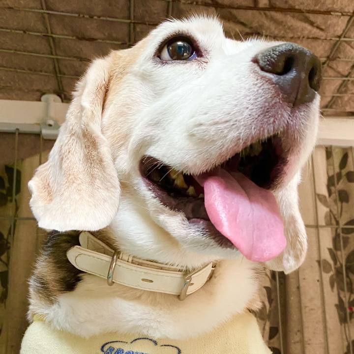 57c0e70c cc92 4c8e b22a 38cd0fdb9d2f 1629690419305