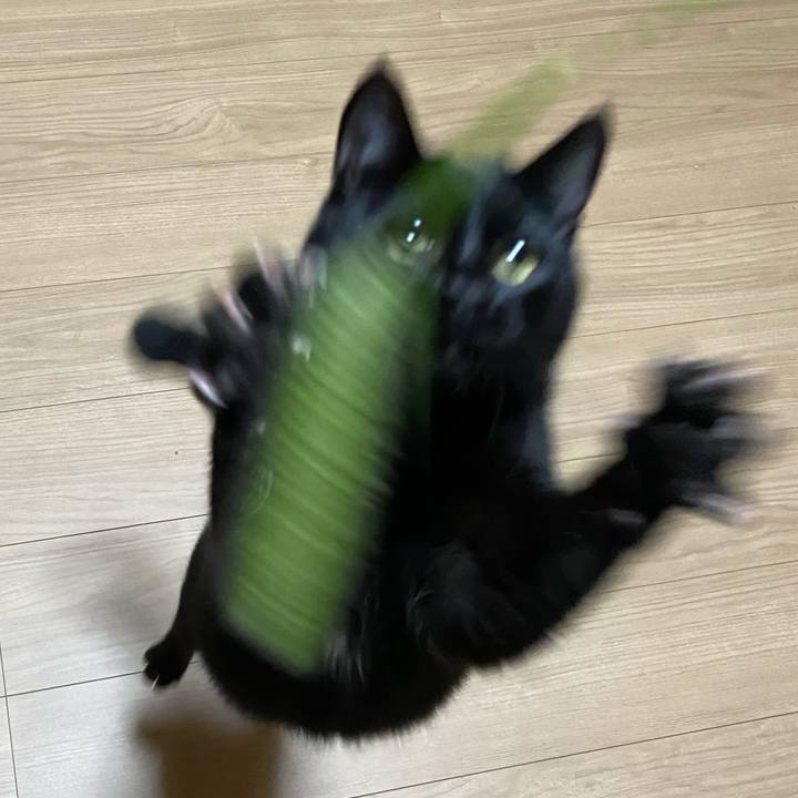 57c0ebc9 9f58 442e adb3 114b3eff7aa2 1626608104839