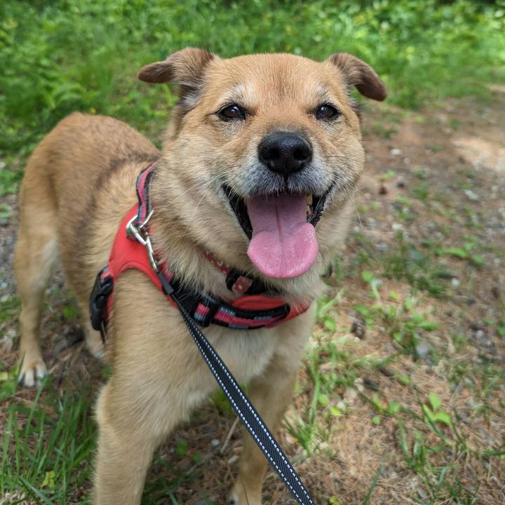 57c10d63 49c6 4240 b4a2 bb7a8b0800af 1687082840125