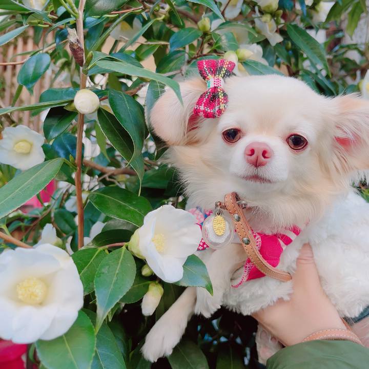 57c10e48 3671 47aa b20e 6a3d6576847d 1702899304267