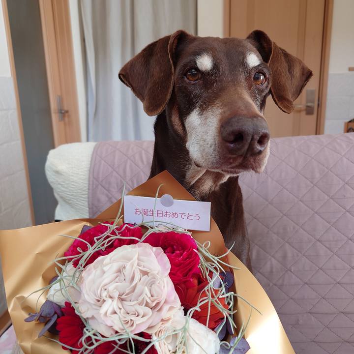 57c14b29 e935 4165 be06 9f4c9e38f7f2 1772711236190