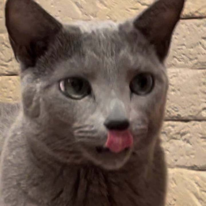 57c14e69 3d08 42e8 87ad 1fa9123b3f1e 1738756177620