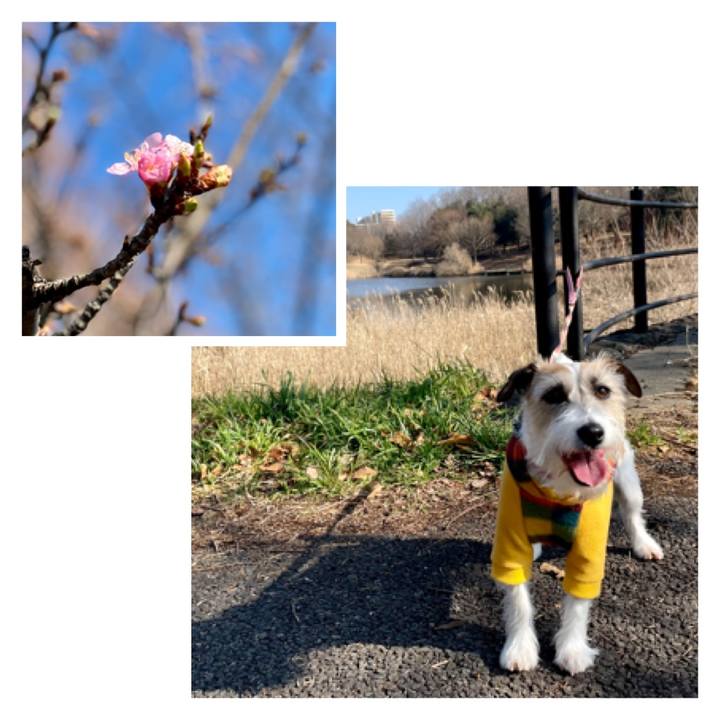 57c18410 c591 4578 bac7 387387470766 1646289204268