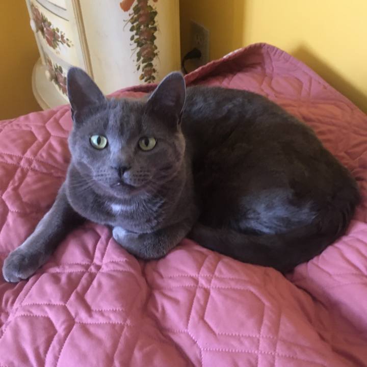 57c18720 65d5 44c0 8220 cce4671d3825 1618019726973