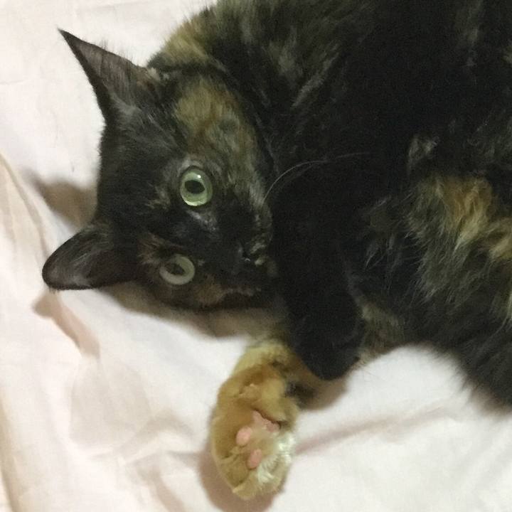 57c1c4d3 e5ba 4b2d 9a60 6f5e842fc0a7 1568205019843