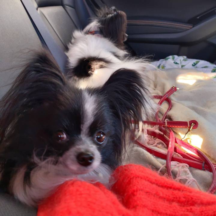 57c1d48a 3e3a 493d b1c9 4f196cd968b2 1548561908422