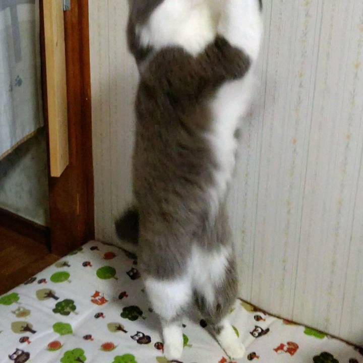 57c1d8ec 47a0 49e7 9a8b 0db4d8c74a74 1608026051355