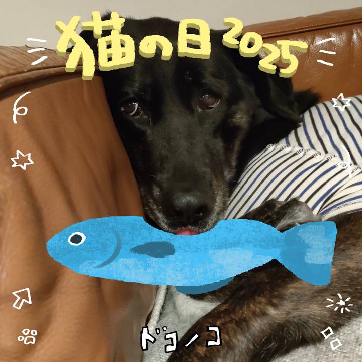 57c20d4e d705 47d0 a9ee 7419785e5679 1740274686618