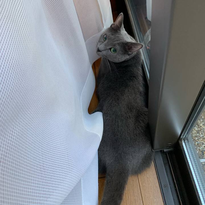 57c233e1 6ebc 45a1 9875 70d9699da616 1597143748656