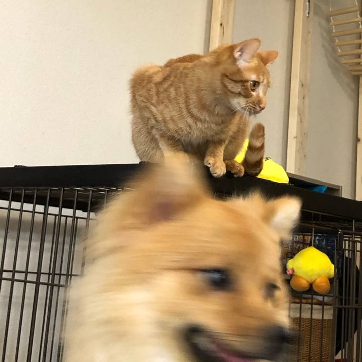 57c26f73 5866 4903 9609 5c4b22704b9f 1598828175746