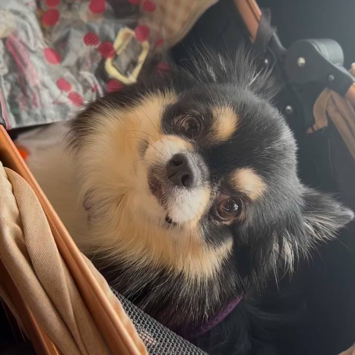 57c2836d a8a5 4846 927b cc3f792a8b0d 1763554635240