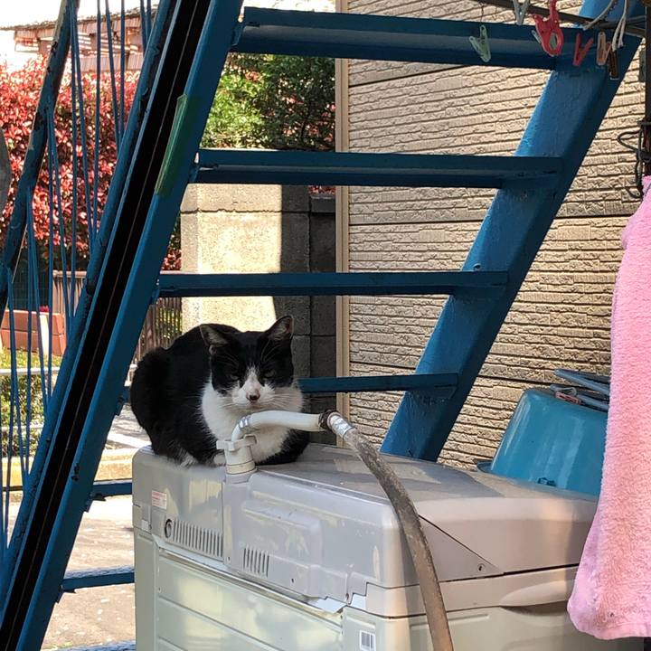 57c28eb3 6108 4725 85dd dfd86a35f2ad 1589716545947