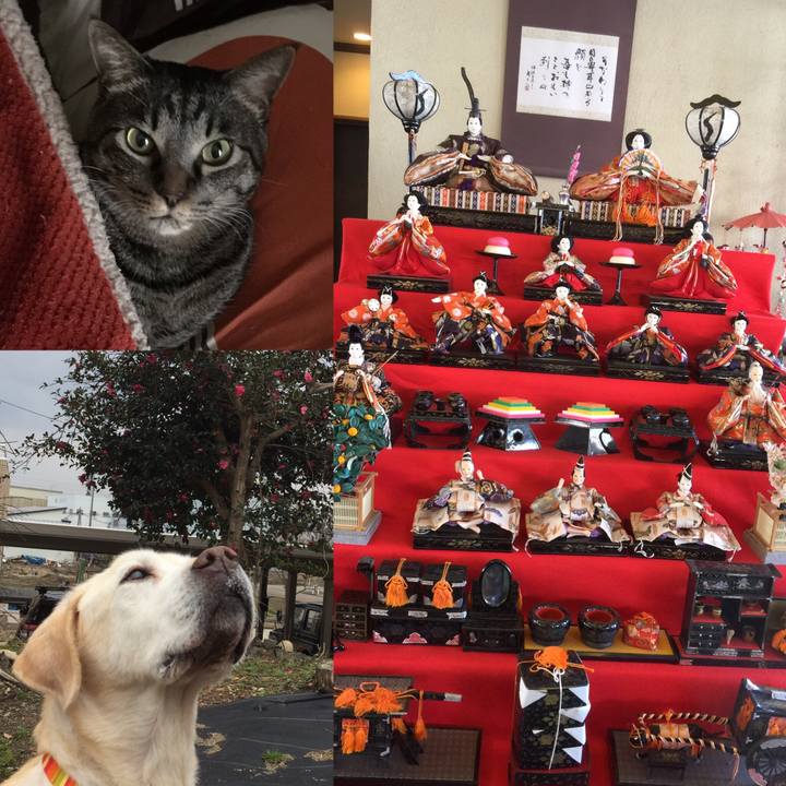 57c2d11b 6faa 4357 b50c d64733eda9d7 1583236023384