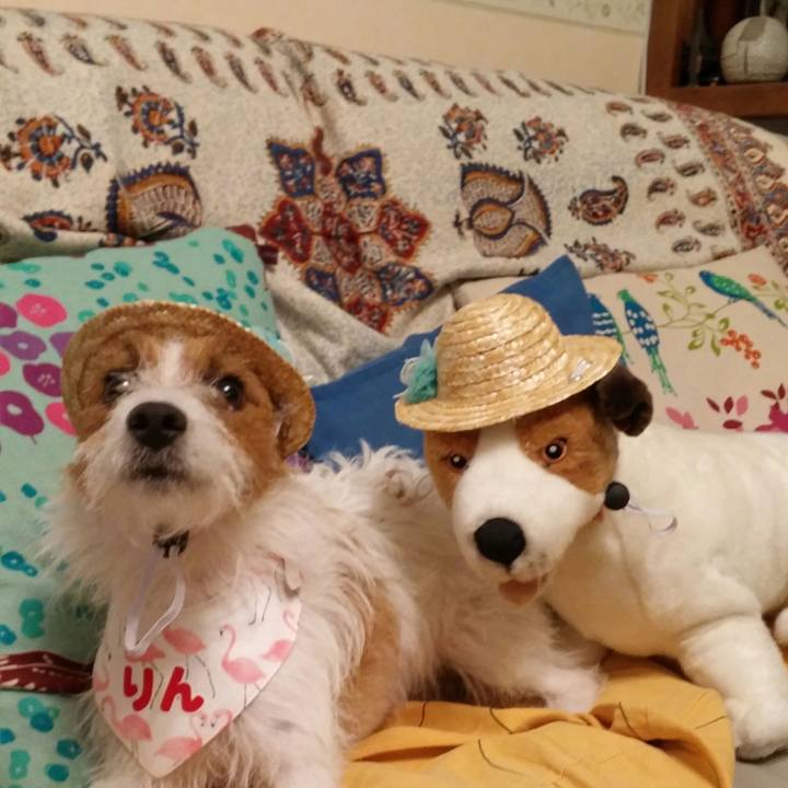 57c2d19b c926 4700 8798 1321eebe303b 1537278160824