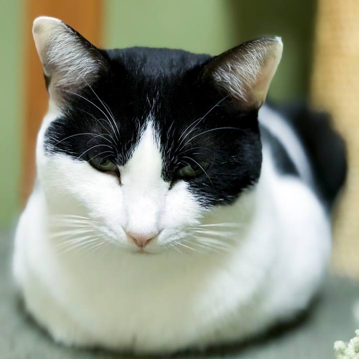 57c2e9bd 0ccb 436f 9da1 b0ef41b1aef4 1516061745329