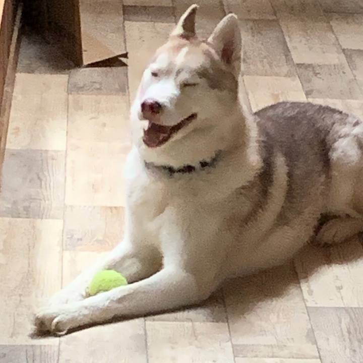 57c2f09f fda4 465b 902b 1c5ed7b757f9 1571479733849