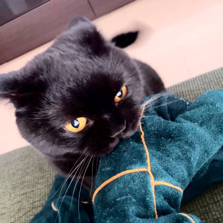 57c2fa48 2cba 4ab3 8e8c 7da94f187ca2 1666007392824