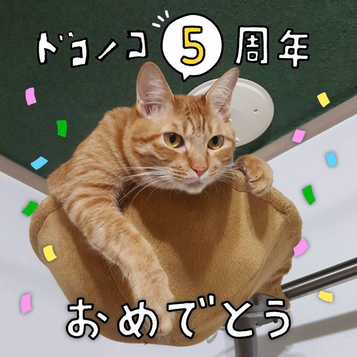 57c2fee9 c13c 44fc 8094 6a154fbdc638 1622894361664