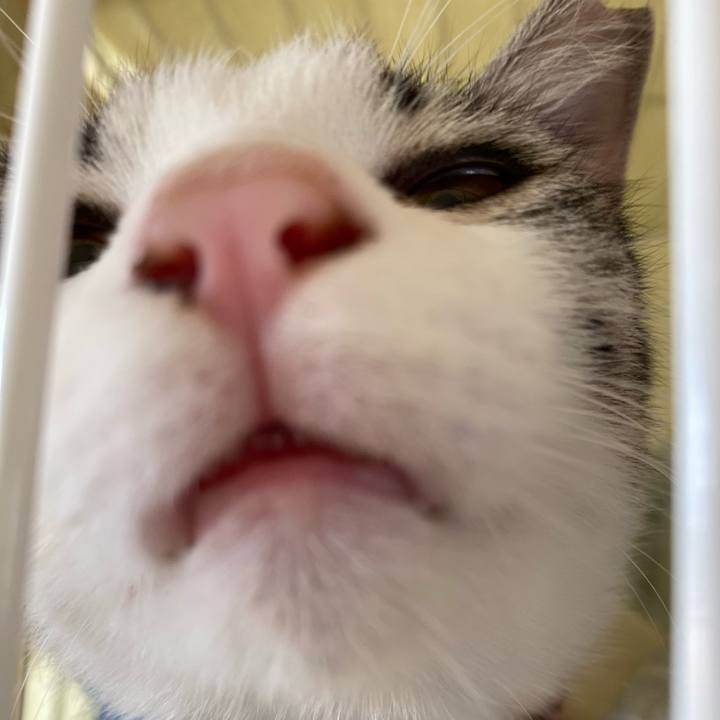 57c326b9 2f7a 4199 b366 e258576b7223 1754138120879