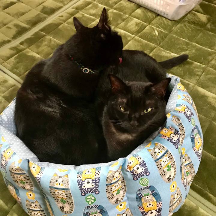 57c35147 64e8 49ec b8ba cb1468e3c796 1509324700971