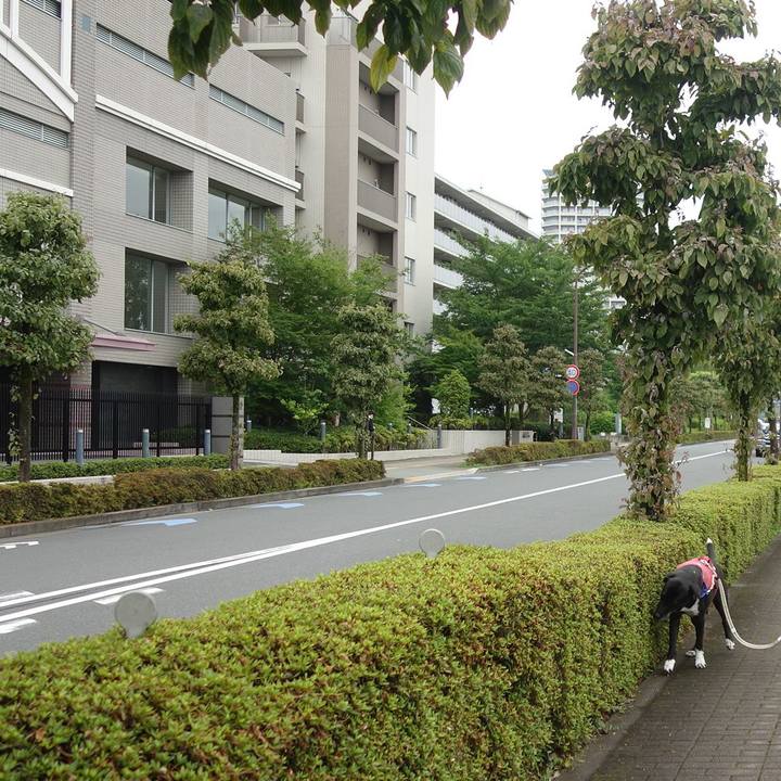 57c35b5c 8693 4dd0 a6c1 8ad58d7468fc 1687480575297