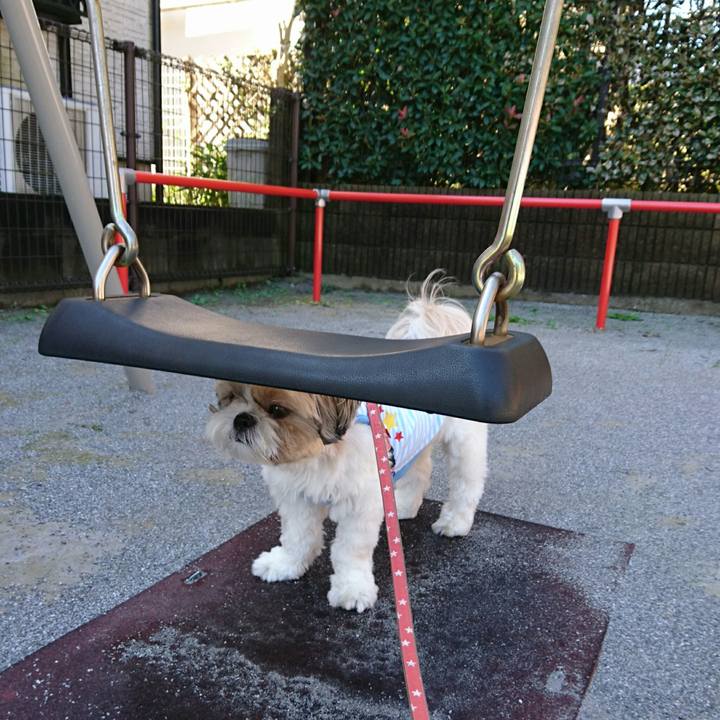 57c3b919 8abc 4c6b ad5a 777898d6dcd2 1538096865474