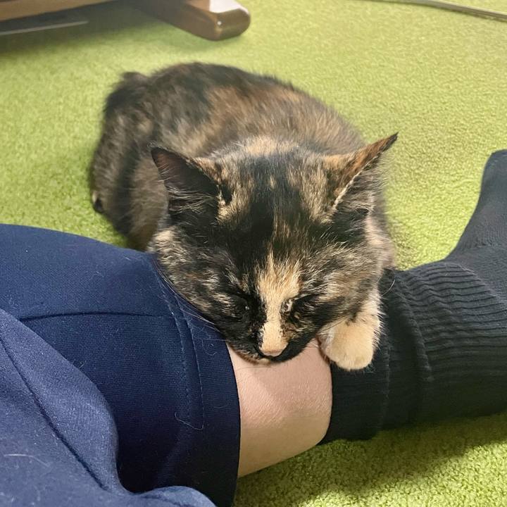 57c3e22a ea0f 4f16 a8d5 b8715bdbb8ce 1762820818383