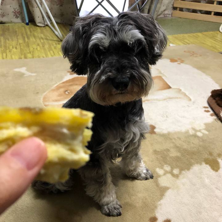 57c3f10a 87c5 426f 8768 6cf36bca3619 1560060888287