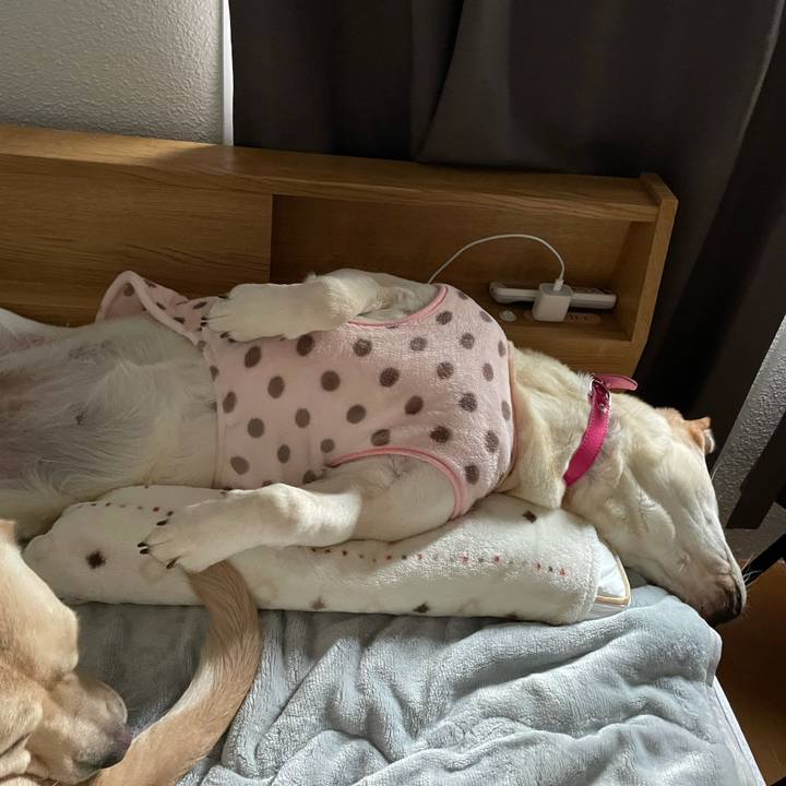 57c3fd9f 18fd 4150 8d49 9eec183a84cd 1634856438982