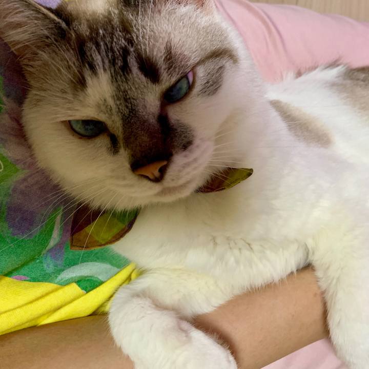 57c40c0f 45ac 46a8 b210 71f475373ac5 1566992192325