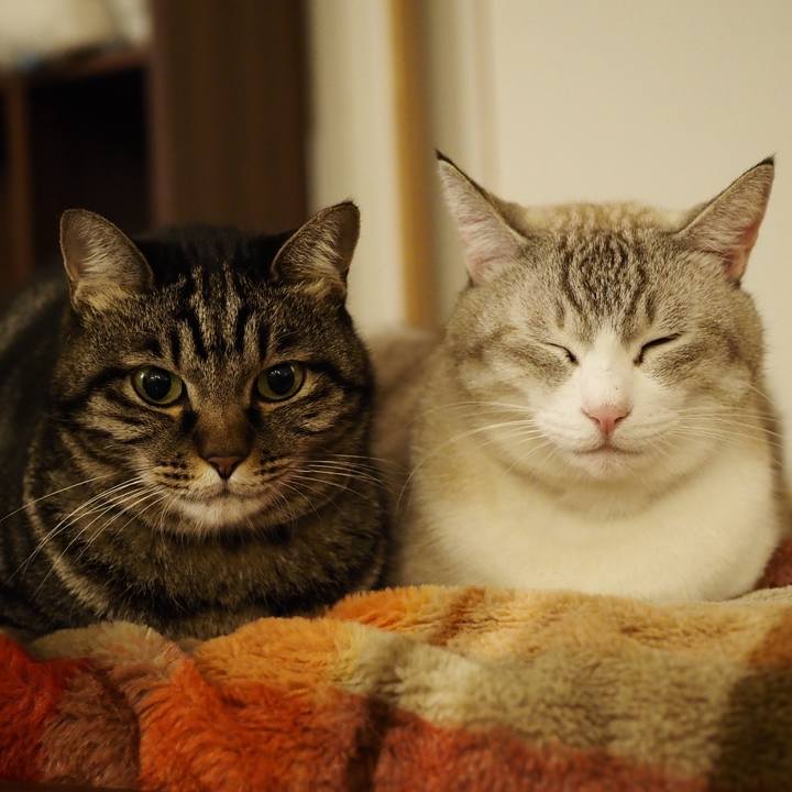 57c45685 d73e 4d31 839d 5d26b8b1869a 1700995646959