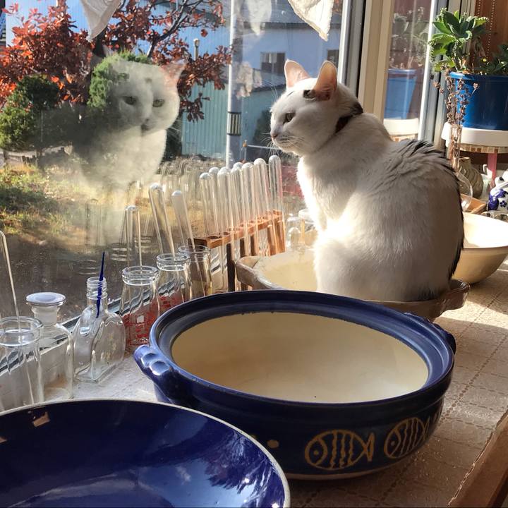 57c48068 bf86 4f30 a288 7f2209062b50 1604360807114