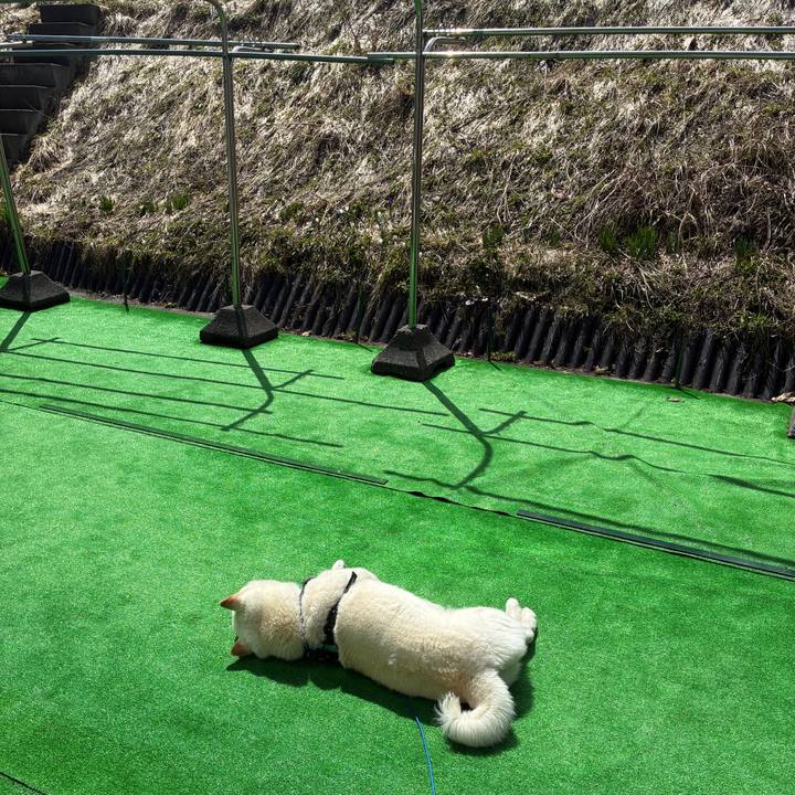 57c480e5 2b89 4898 83c9 d00501216a32 1745716473389