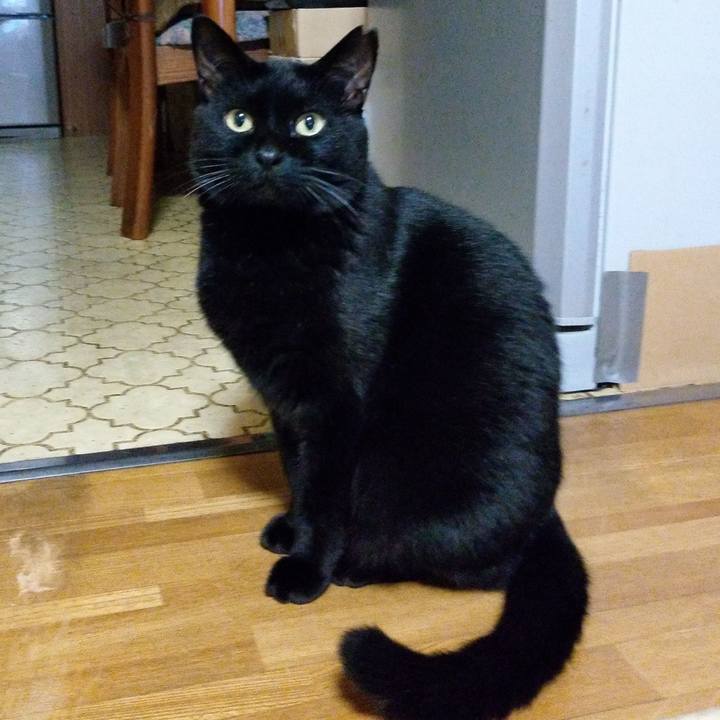 57c493d0 65c4 4f79 aff5 3888f5397011 1607948019700